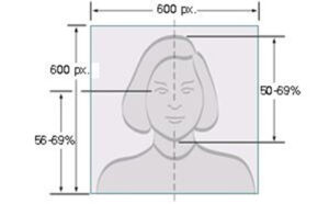 Digital Image Head Size Template