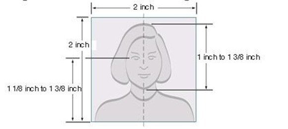Paper Photo Head Size Template Paper Photo Head Size Template